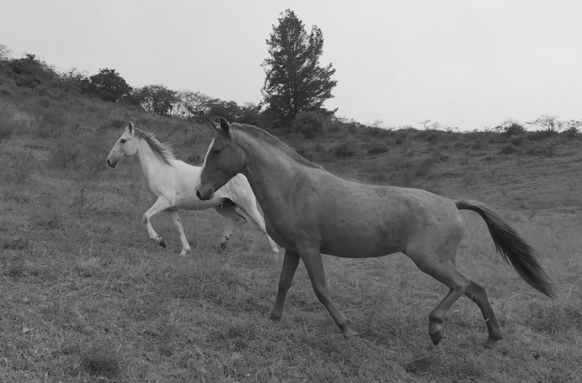 Lorenzo y Malena